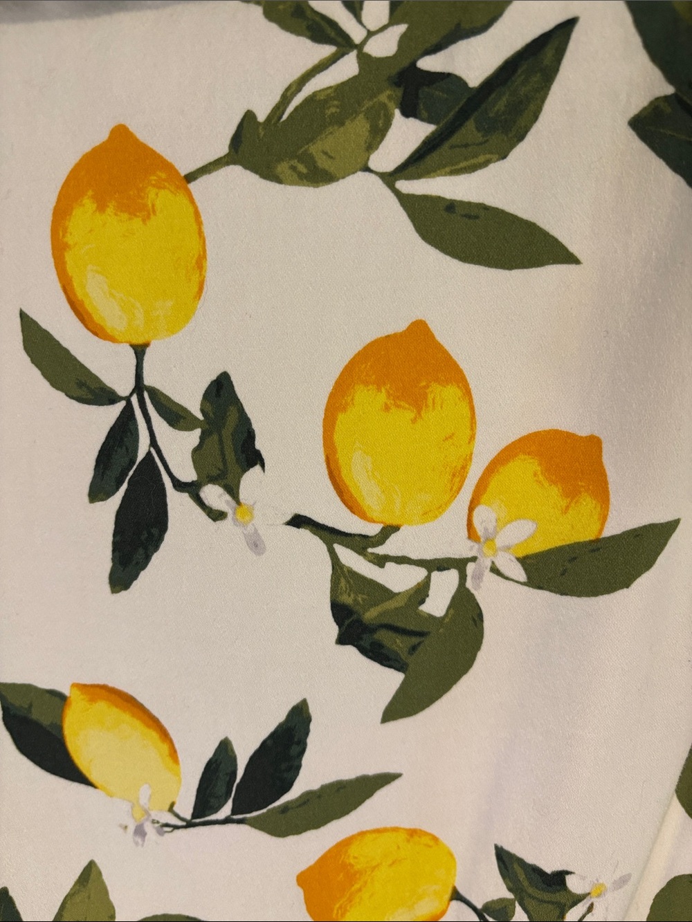 Chetta B Sleeveless Lemon Print Button Down Shirt Dress Size 14 Fit and Flare - Picture 8 of 8
